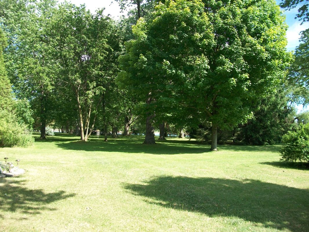 Roadview of Shiloh Park in Wallaceburg
